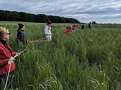 Menschen stehen auf einem Feld in Reihe mit einem Seil in der Hand als Verbindung